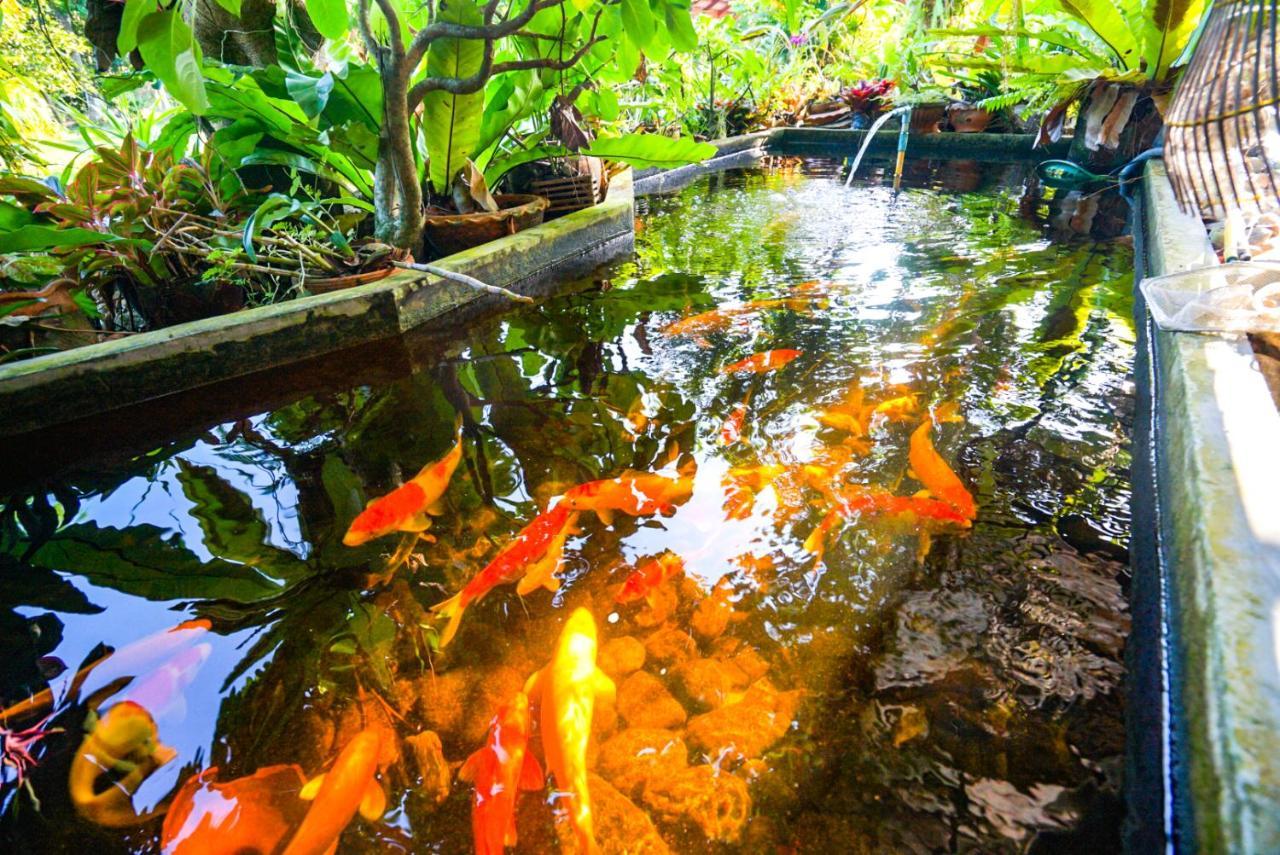 Taluangjit Resort&garden * Kiriwong